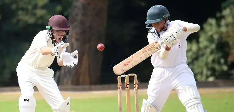 Cricket
